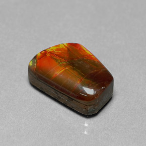Ammolite multicolore naturelle forme fantaisie, 6,41 ct, opaque
