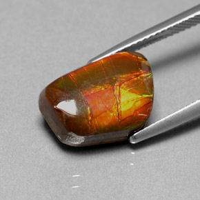 Ammolite multicolore naturelle forme fantaisie, 6,41 ct, opaque