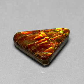 Ammolite multicolore naturelle forme fantaisie, 6,44 ct, opaque