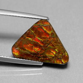 Ammolite multicolore naturelle forme fantaisie, 6,44 ct, opaque