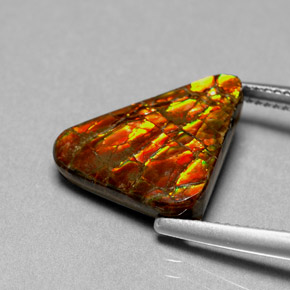 Ammolite multicolore naturelle forme fantaisie, 6,44 ct, opaque