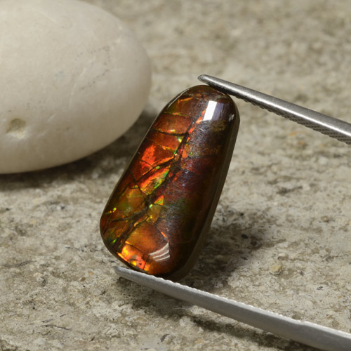 Ammolite multicolore naturelle forme fantaisie, 6,70 ct, opaque