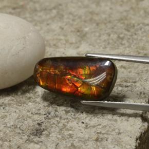 Ammolite multicolore naturelle forme fantaisie, 6,70 ct, opaque