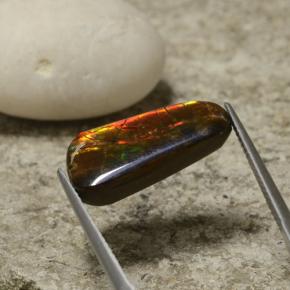 Ammolite multicolore naturelle forme fantaisie, 6,70 ct, opaque