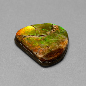 Ammolite multicolore naturelle forme fantaisie, 7,00 ct, opaque