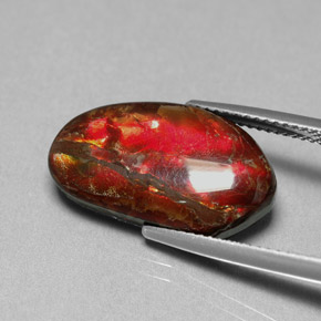 Ammolite multicolore naturelle forme fantaisie, 7,65 ct, opaque