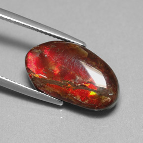 Ammolite multicolore naturelle forme fantaisie, 7,65 ct, opaque
