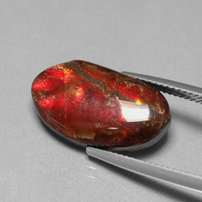 Ammolite multicolore naturelle forme fantaisie, 7,65 ct, opaque