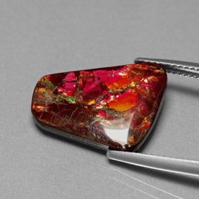 Ammolite multicolore naturelle forme fantaisie, 7,81 ct, opaque