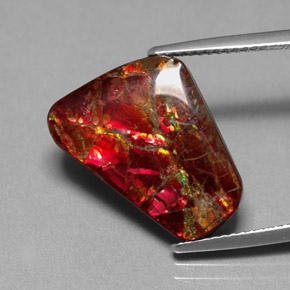 Ammolite multicolore naturelle forme fantaisie, 7,81 ct, opaque