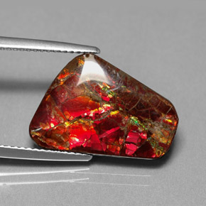 Ammolite multicolore naturelle forme fantaisie, 7,81 ct, opaque