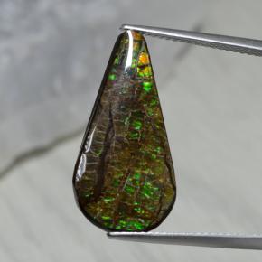 Ammolite multicolore naturelle en forme de poire, 7,94 ct, opaque