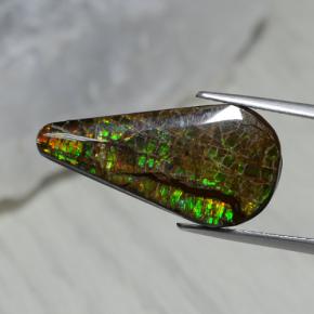 Ammolite multicolore naturelle en forme de poire, 7,94 ct, opaque
