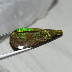 Ammolite multicolore naturelle en forme de poire, 7,94 ct, opaque
