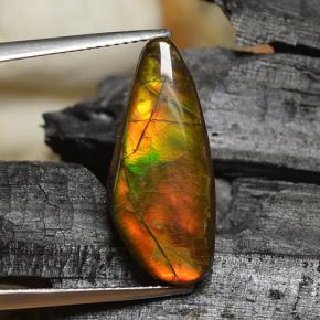 Ammolite multicolore naturelle forme fantaisie, 8,00 ct, opaque
