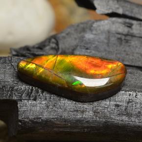 Ammolite multicolore naturelle forme fantaisie, 8,00 ct, opaque