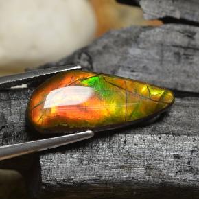 Ammolite multicolore naturelle forme fantaisie, 8,00 ct, opaque