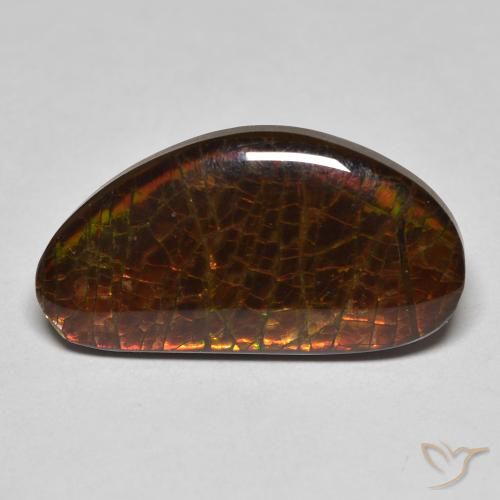 Ammolite Multicolore naturelle Fantaisie, 8.23 ct, Opaque