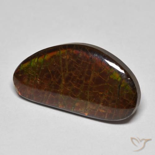 Ammolite Multicolore naturelle Fantaisie, 8.23 ct, Opaque