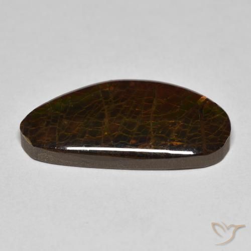 Ammolite Multicolore naturelle Fantaisie, 8.23 ct, Opaque
