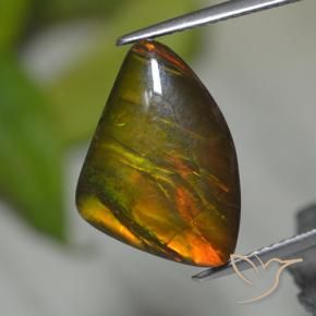 Ammolite multicolore naturelle forme fantaisie, 8,39 ct, opaque
