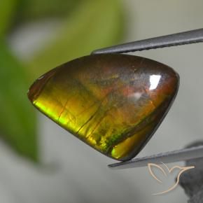 Ammolite multicolore naturelle forme fantaisie, 8,39 ct, opaque