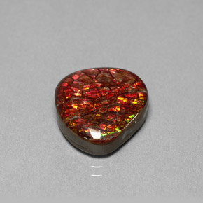 Ammolite Multicolore naturelle Forme fantaisie, 8.47 ct, Opaque