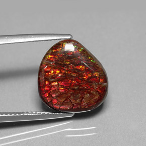 Ammolite Multicolore naturelle Forme fantaisie, 8.47 ct, Opaque