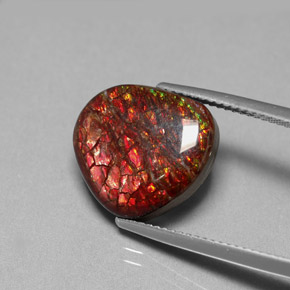 Ammolite Multicolore naturelle Forme fantaisie, 8.47 ct, Opaque