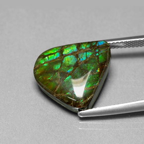 Ammolite multicolore naturelle forme fantaisie, 8,69 ct, opaque