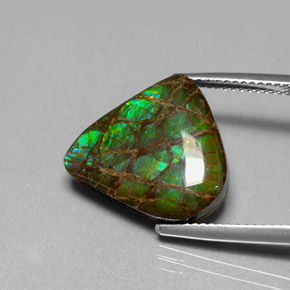 Ammolite multicolore naturelle forme fantaisie, 8,69 ct, opaque