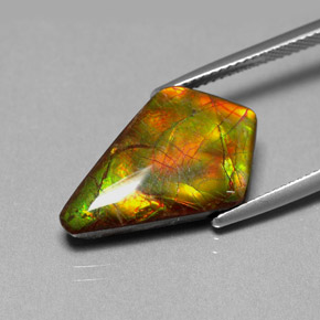Ammolite multicolore naturelle forme fantaisie, 8,80 ct, opaque