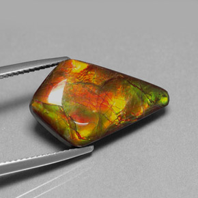 Ammolite multicolore naturelle forme fantaisie, 8,80 ct, opaque