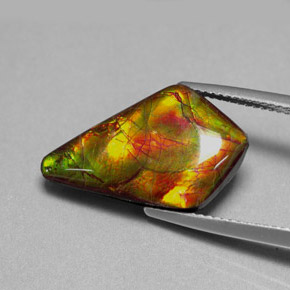 Ammolite multicolore naturelle forme fantaisie, 8,80 ct, opaque