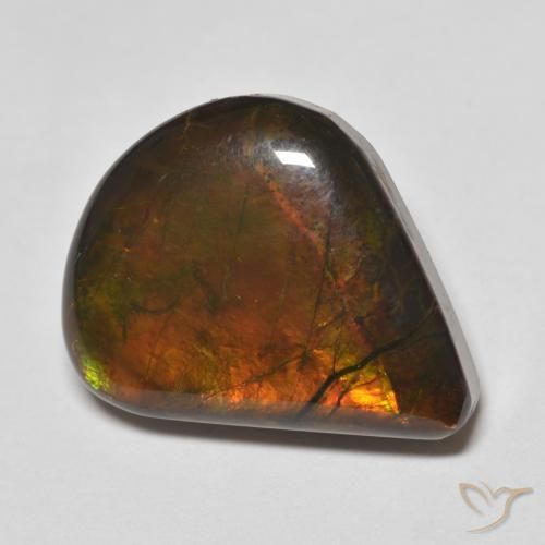 Ammolite Multicolore naturelle En forme de poire, 8.83 ct, Opaque