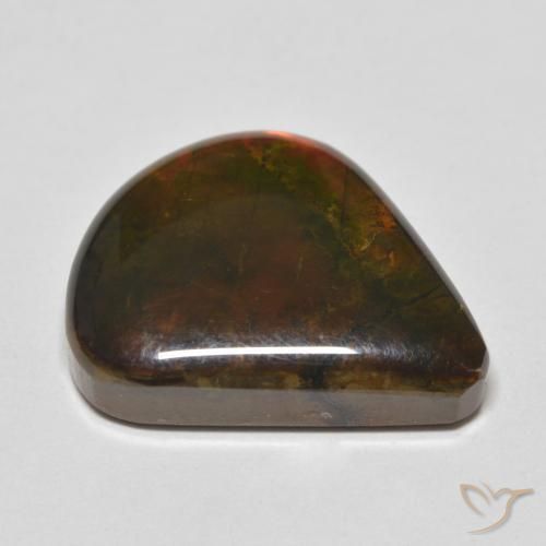 Ammolite Multicolore naturelle En forme de poire, 8.83 ct, Opaque