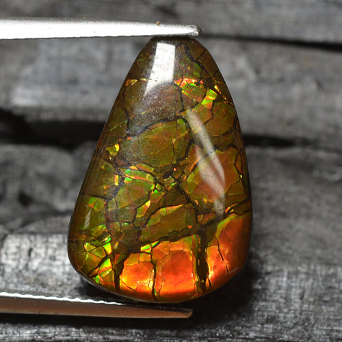 Ammolite multicolore naturelle forme fantaisie, 8,83 ct, opaque