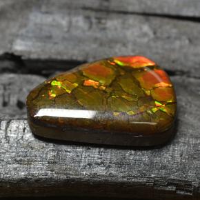 Ammolite multicolore naturelle forme fantaisie, 8,83 ct, opaque