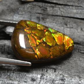 Ammolite multicolore naturelle forme fantaisie, 8,83 ct, opaque