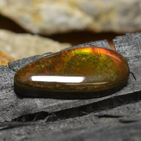 Ammolite multicolore naturelle en forme de poire, 8,95 ct, opaque