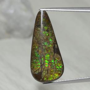 Ammolite multicolore naturelle en forme de poire, 9,02 ct, opaque