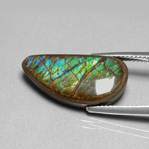Ammolite multicolore naturelle forme fantaisie, 9,39 ct, opaque
