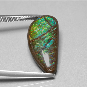 Ammolite multicolore naturelle forme fantaisie, 9,39 ct, opaque