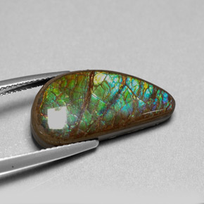 Ammolite multicolore naturelle forme fantaisie, 9,39 ct, opaque