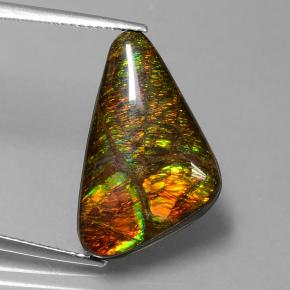 Ammolite multicolore naturelle forme fantaisie, 9,50 ct, opaque