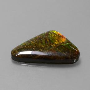 Ammolite multicolore naturelle forme fantaisie, 9,50 ct, opaque