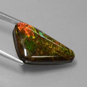 Ammolite multicolore naturelle forme fantaisie, 9,50 ct, opaque