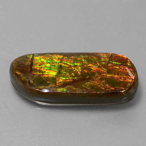 Ammolite Multicolore naturelle Forme fantaisie, 9.77 ct, Opaque
