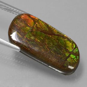 Ammolite Multicolore naturelle Forme fantaisie, 9.77 ct, Opaque