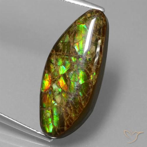 Ammolite Multicolore naturelle Fantaisie, 9.86 ct, Opaque